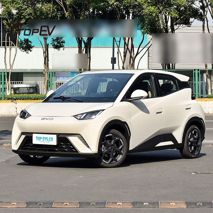2025 BYD Seagull 305KM 電気自動車